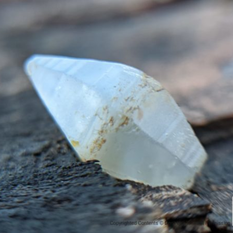 GEMS