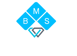 bms_logo_2_footer1